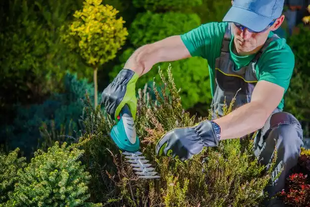 landscaping services Bayou Vista